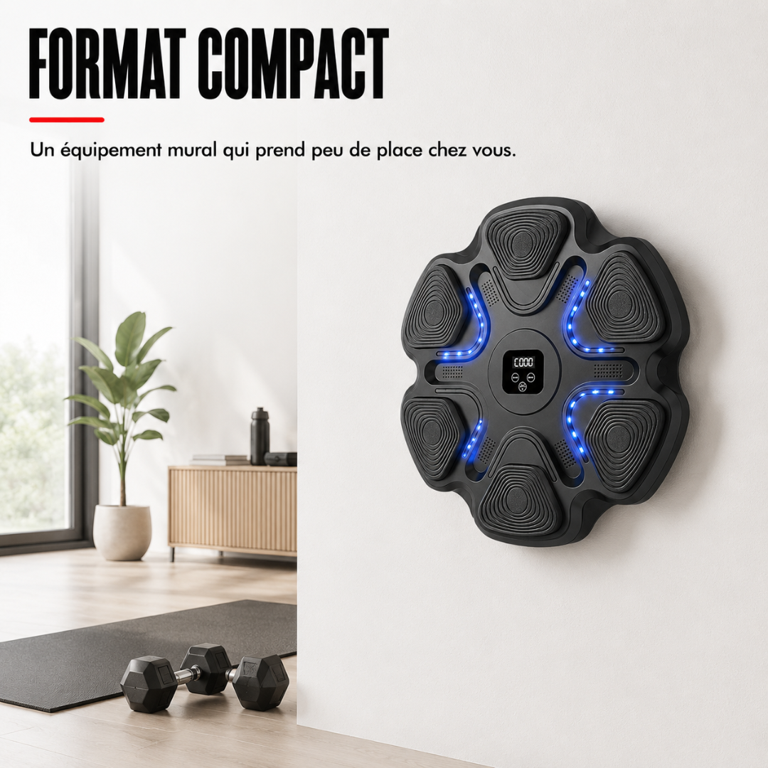 Machine de Boxe 6 Cibles 9 Vitesses MaisonDuBoxeur