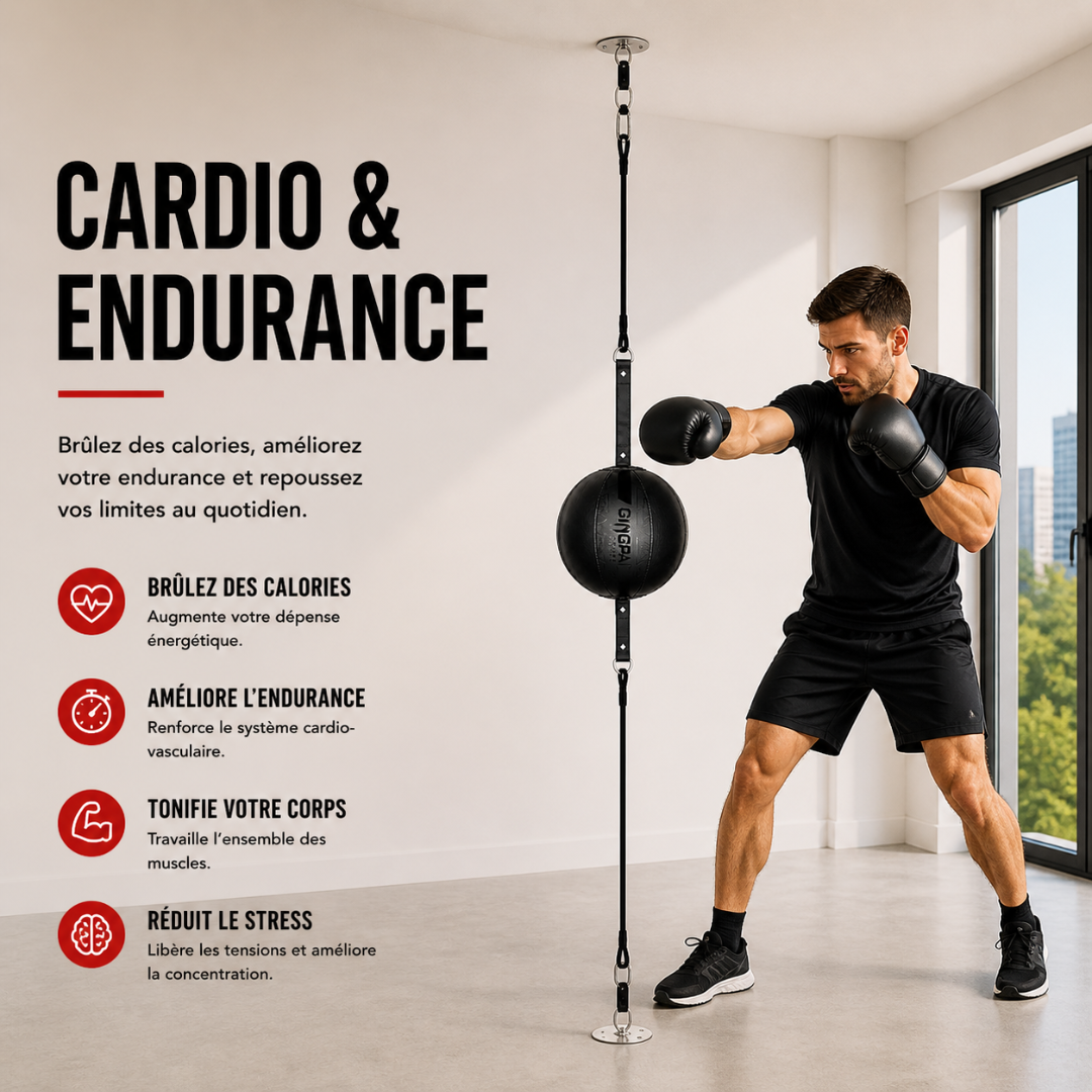 Balle de Vitesse Ronde Fixation Double MaisonDuBoxeur
