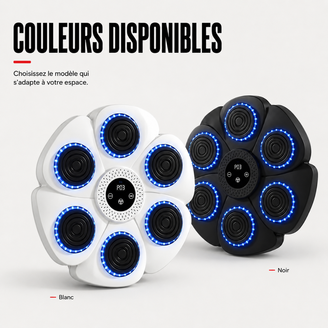 Machine de Boxe RGB Gants Inclus MaisonDuBoxeur