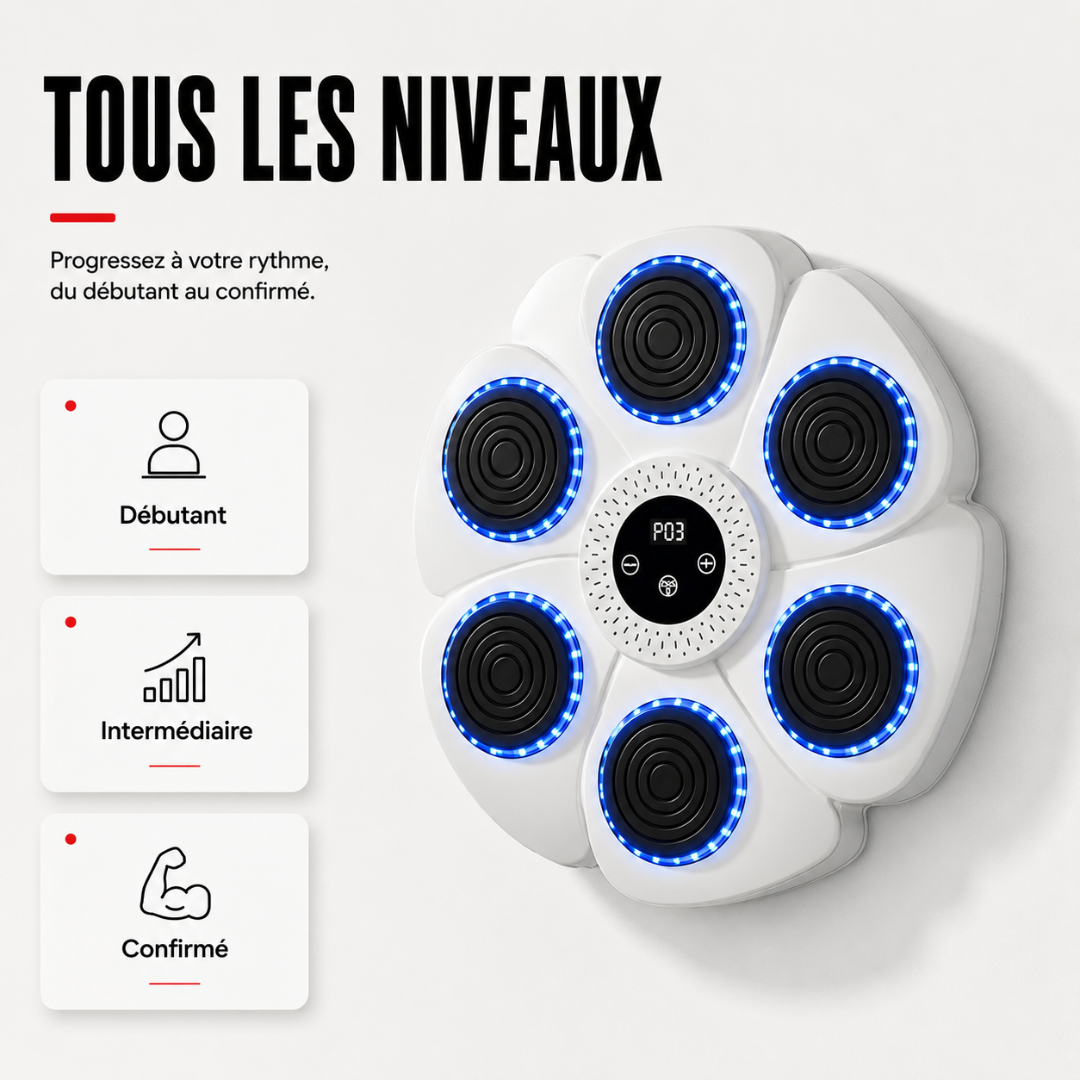 Machine de Boxe RGB Gants Inclus MaisonDuBoxeur