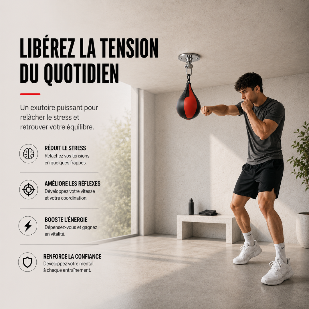 Poire de Vitesse Support Plafond 360° MaisonDuBoxeur