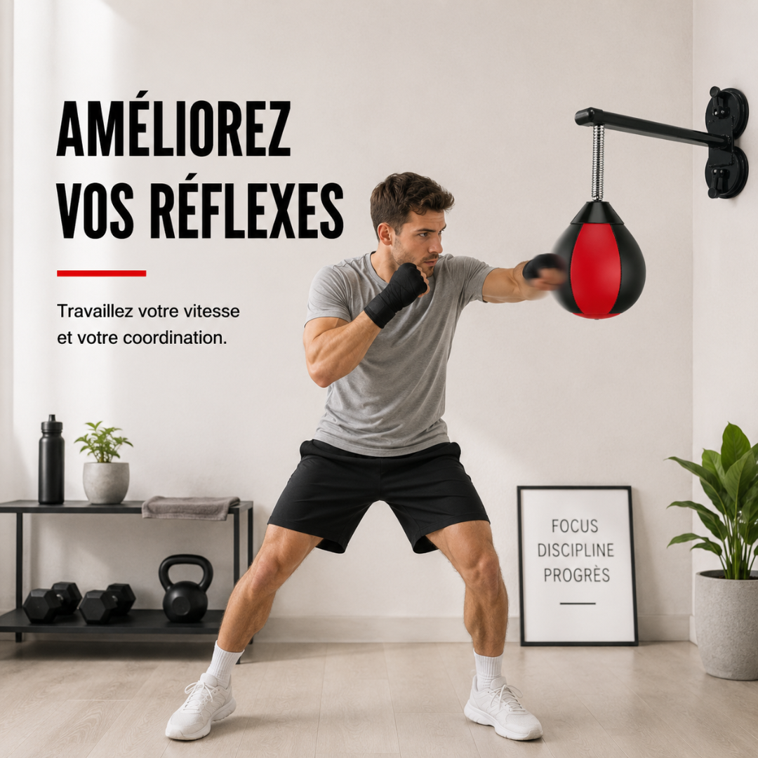 Punching Ball Mural Ventouse – Sans Perçage MaisonDuBoxeur