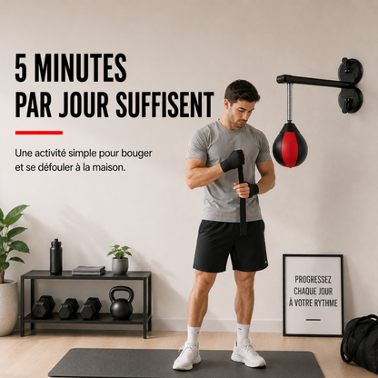 Punching Ball Mural Ventouse – Sans Perçage MaisonDuBoxeur